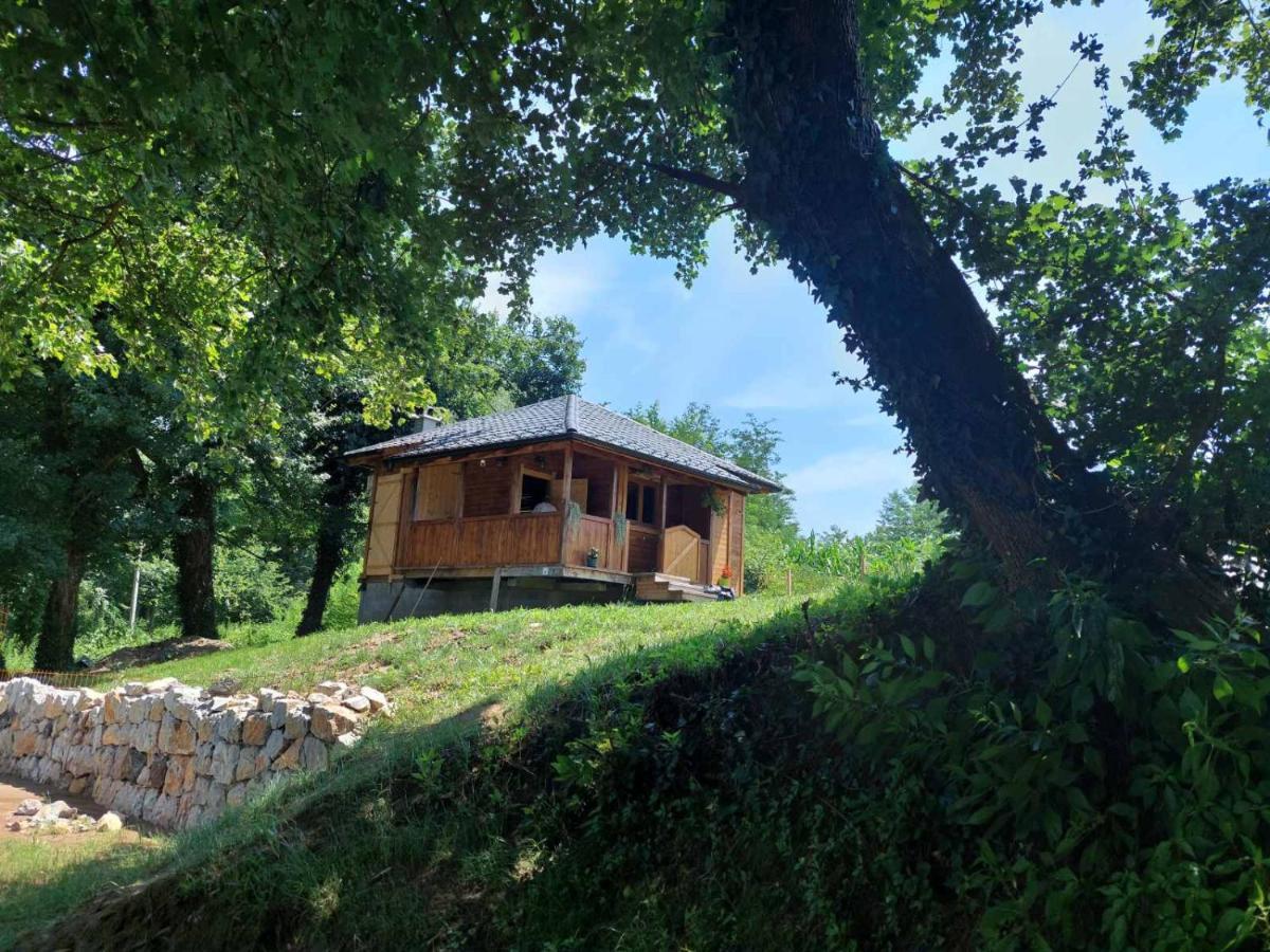 Case de vacanță Mars Na Drinu Bajina Basta