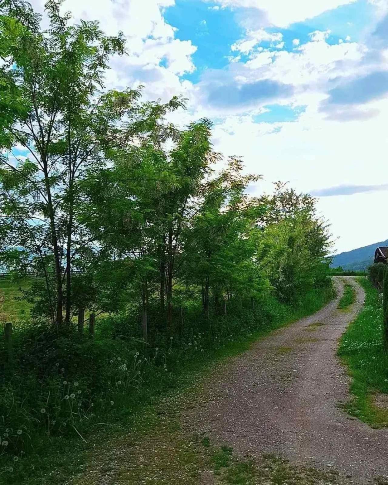 Case de vacanță Mars Na Drinu *